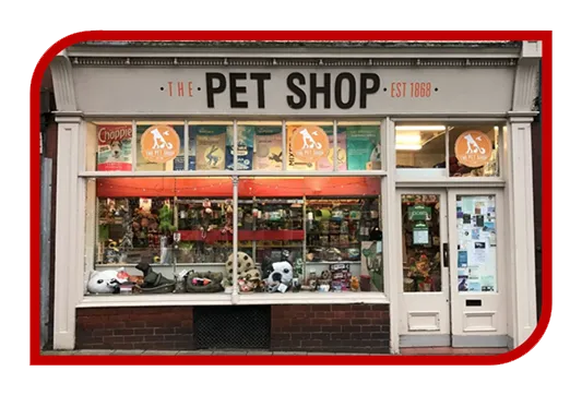 Construção de Sites para Petshop